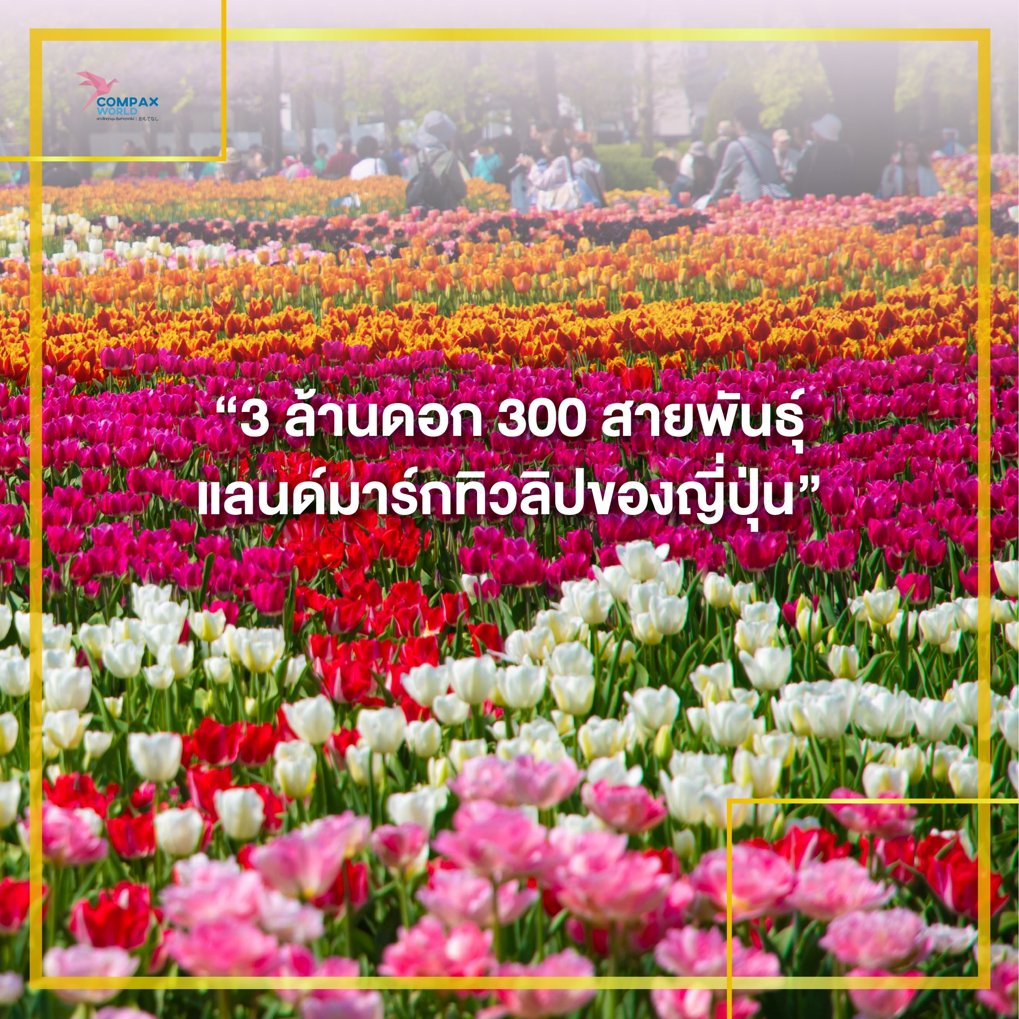 เที่ยวญี่ปุ่น ทัวร์ญี่ปุ่น ทัวร์ญี่ปุ่นกรุ๊ปเล็ก